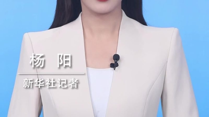 政务云服务与私有云：两种云服务的本质区别与应用场景